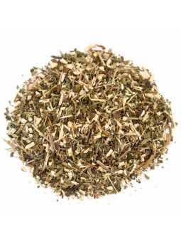 Echinacée séchée plante coupée