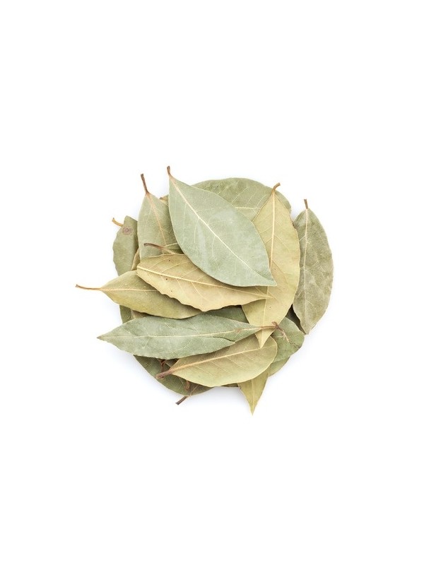 feuilles de laurier