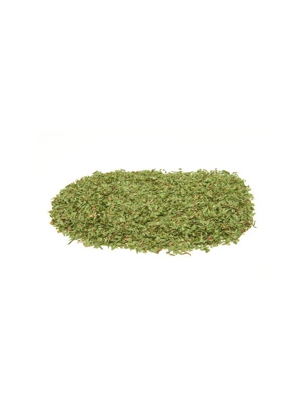 feuilles de coriandre seches