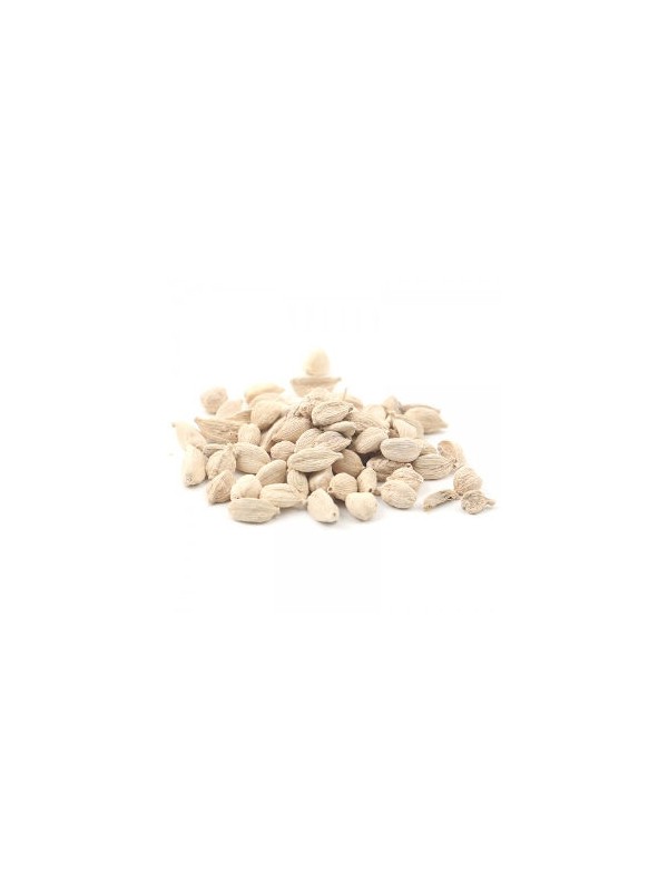 cardamome blanche
