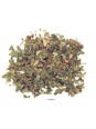 Feuilles de Ginkgo biloba séchées