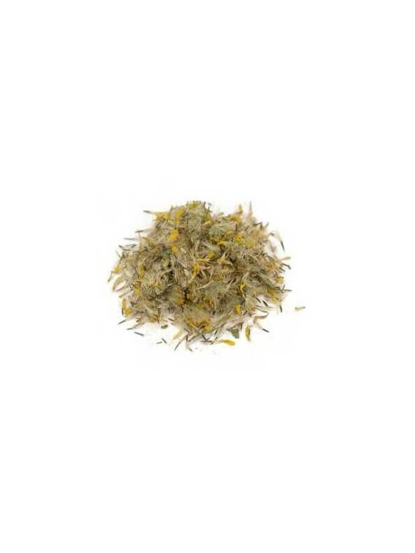 Fleurs d'Arnica montana