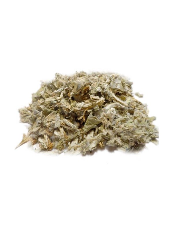 Feuilles d'artichaut pour infusion