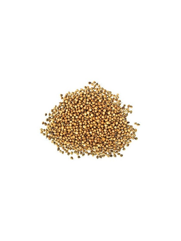 Poivre sauvage blanc de Madagascar voatsiperifery