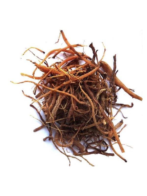 Racines de ginseng rouge séchées panax