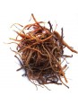 Racines de ginseng rouge séchées panax