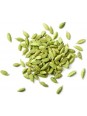 Graines de cardamome verte