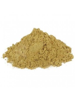 Fenouil moulu (en poudre)