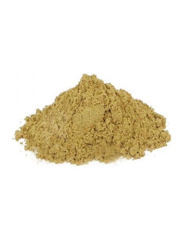 Fenouil moulu (en poudre)