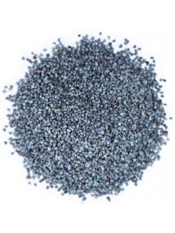 Graines de pavot bleu