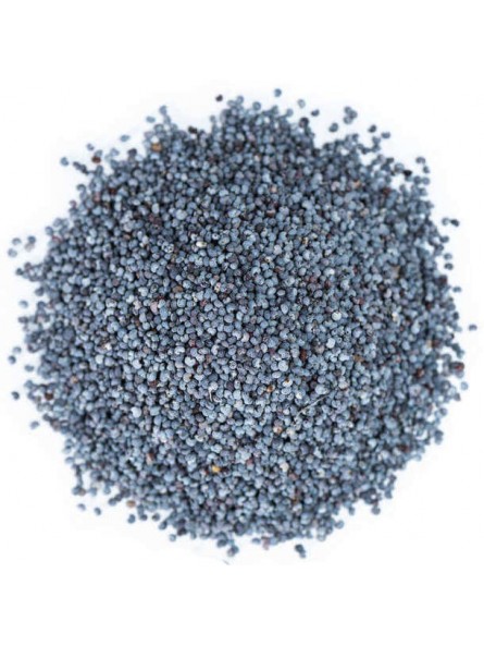 Graines de pavot bleu