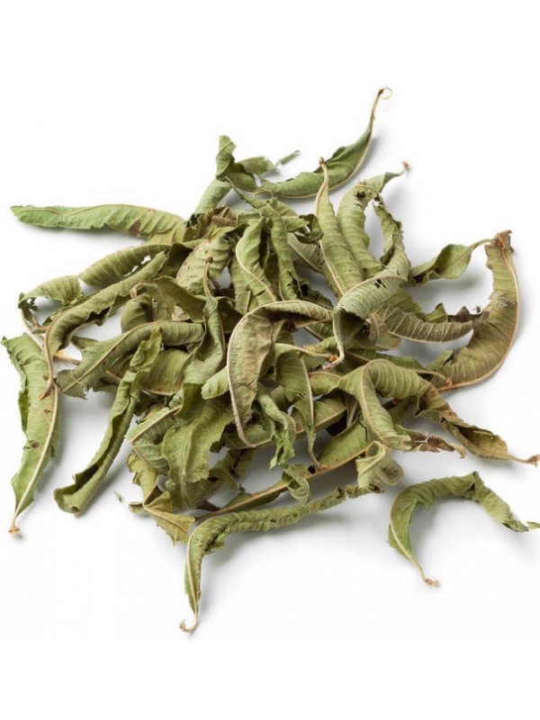 Verveine citronnelle Aloysia triphylla ou Lippia citriodora