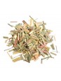Citronnelle copeaux
