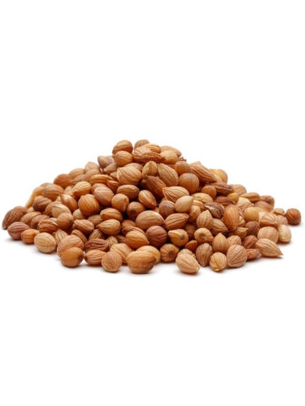 Graines de mahaleb ou mahlep