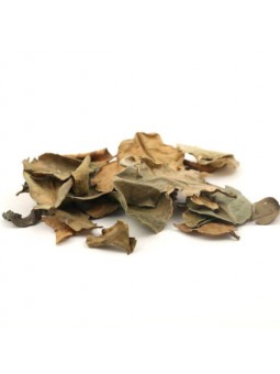 feuilles de combava