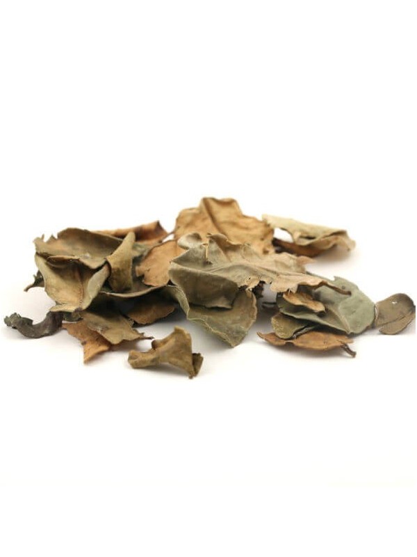 feuilles de combava
