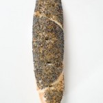 recette du pain au graines de pavot