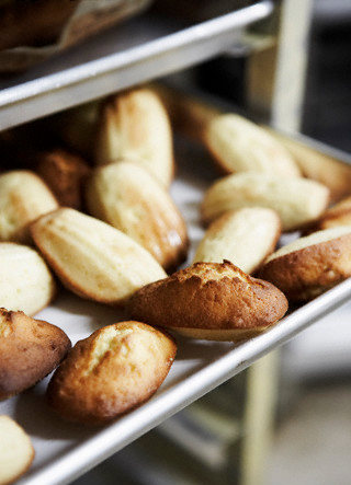 recette madeleines au chèvre figues et abricots séchés recette madeleines au chèvre figues et abricots séchés