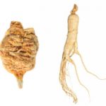maca vs ginseng