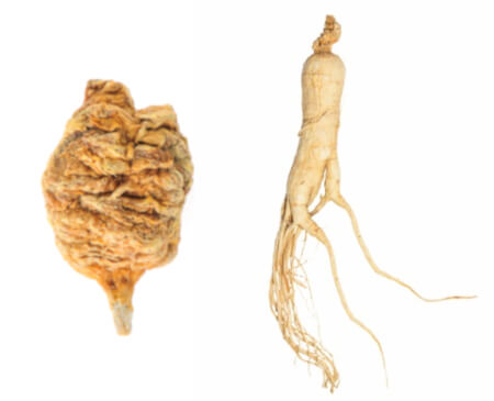 maca vs ginseng maca vs ginseng