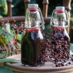 sirop de baies de sureau noir maison