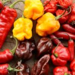 soulager un piment qui pique
