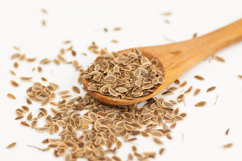 Tisane d&rsquo;aneth : Recette et bienfaits pour la santé