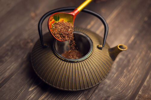 quel rooibos choisir