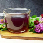 tisane de trefle rouge