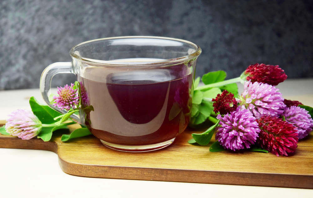 bienfaits de graines de chia tisane de trefle rouge