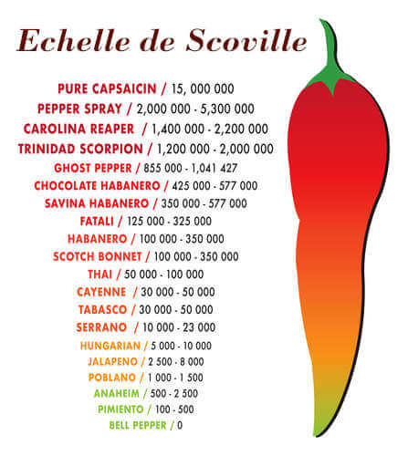 echelle de scoville echelle de scoville