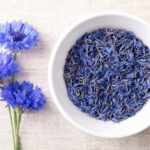 fleurs de bleuet séchées
