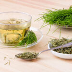 tisane d'aurone