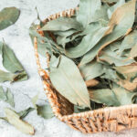 Bienfaits des feuilles d'eucalyptus