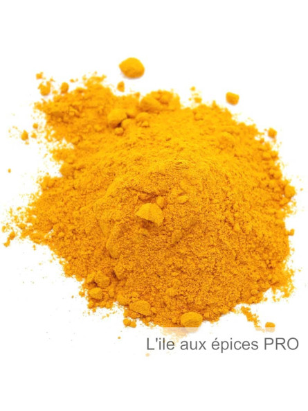 Grossiste Curcuma longa moulu pro