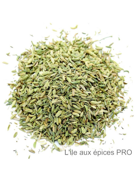 Fournisseur Graines de fenouil pro