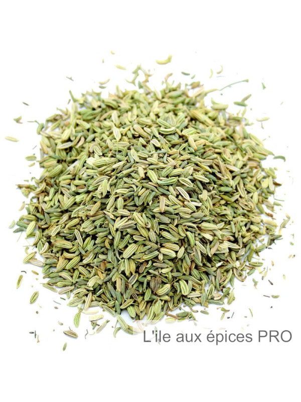 Fournisseur Graines de fenouil pro