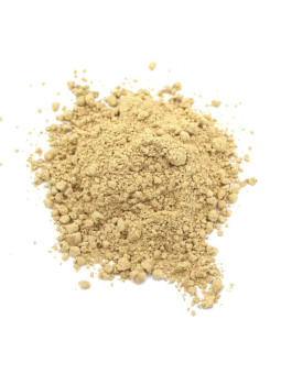 Vente en gros Gingembre en poudre pro