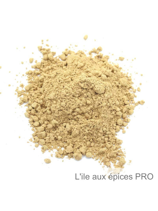 Vente en gros Gingembre en poudre pro
