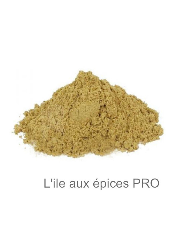 Vente en gros Fenouil en poudre pro