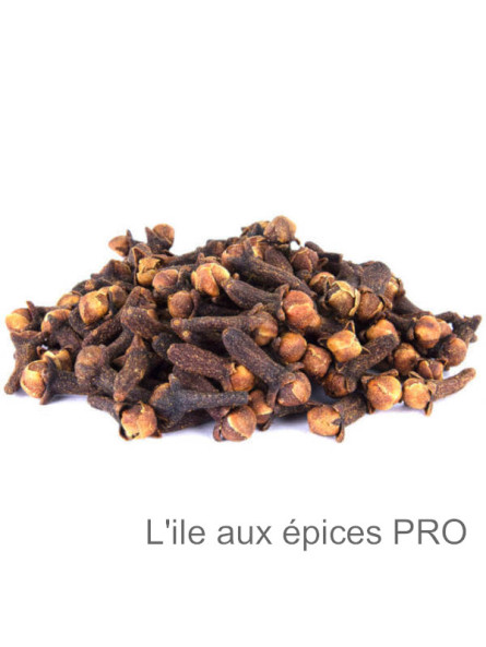 Grossiste Clous de girofle pro