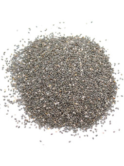 Vente en gros Graines de chia pro