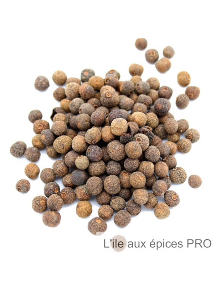 Vente en gros Poivre de Jamaïque (graines) pro