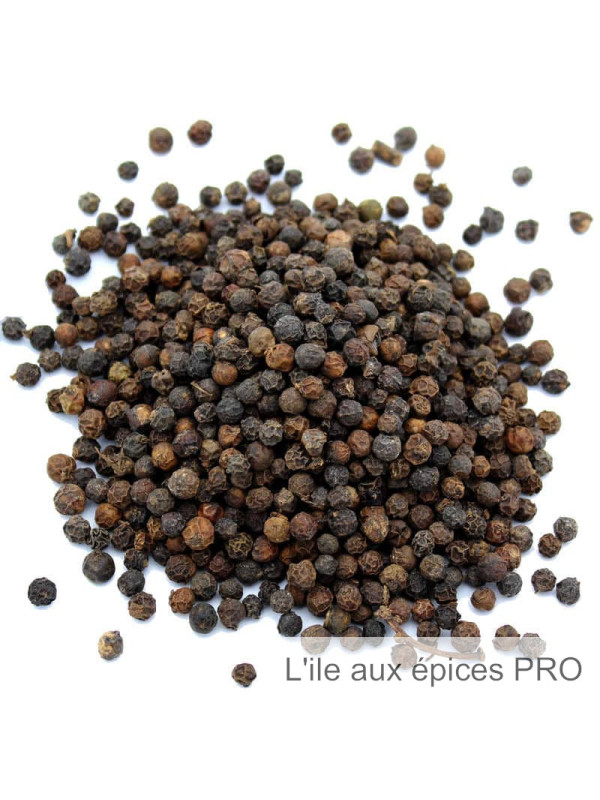 Vente en gros Poivre noir en grain pro Vente en gros Poivre noir en grain pro