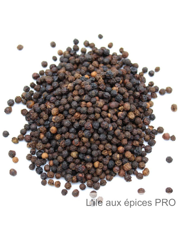 Vente en gros Poivre noir fumé de Malabar biologique pro