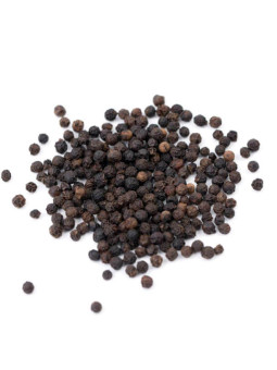 Vente en gros Poivre noir de Belem brésil pro