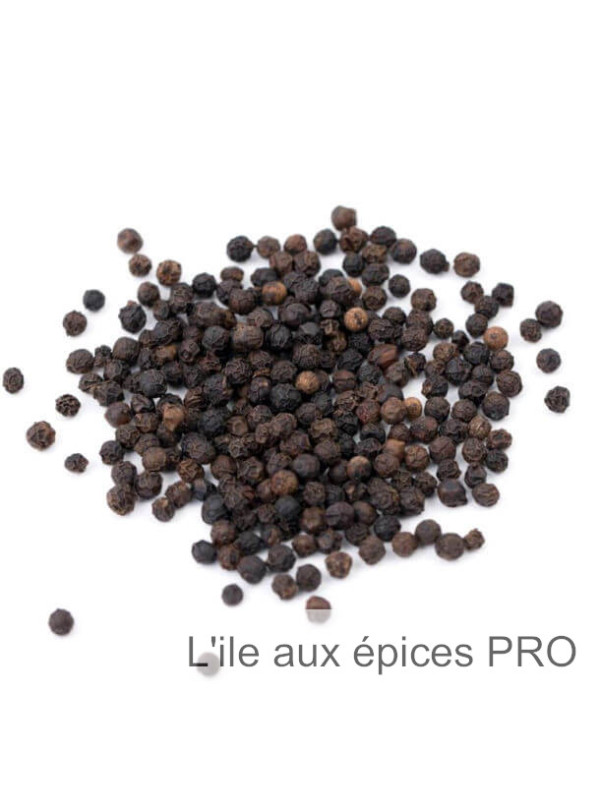 Vente en gros Poivre noir de Belem brésil pro