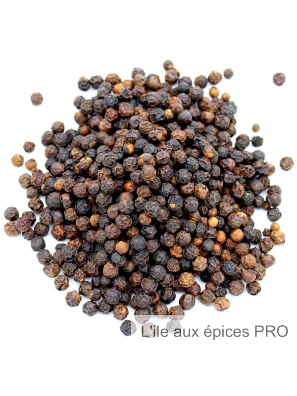 Vente en gros Poivre bio Jumbo noir gros grains pro