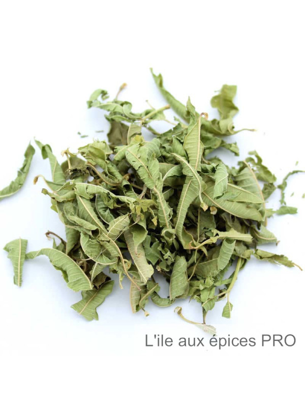 Vente en gros Verveine citronnelle pour tisane pro