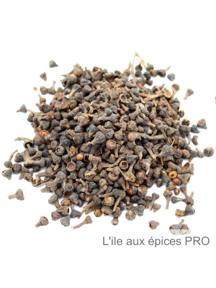 Vente en gros Baies ou clous de cannelier pro